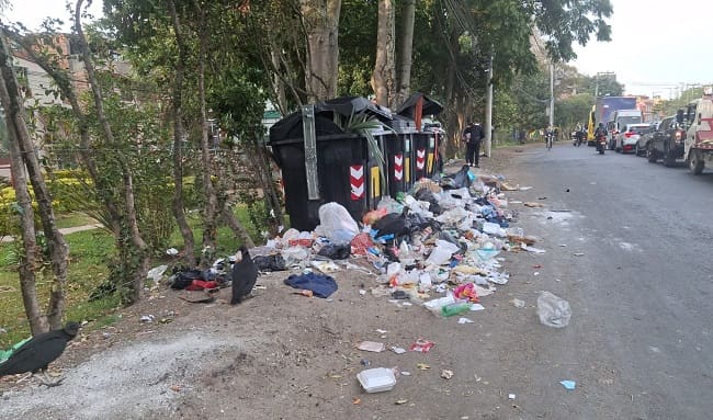 Vecinos de Puertas del Sol en Suba lidian con aumento de basura y plagas