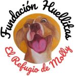 Fundación el refugio de Molly lucha por sobrevivir con apoyo comunitario