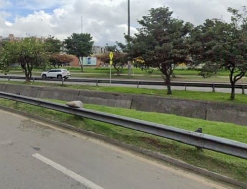 Alerta por contaminación en el canal de aguas lluvias de la Avenida Suba