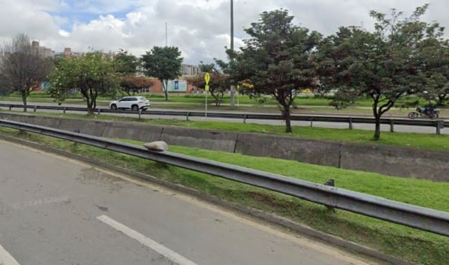 Alerta por Contaminación en el Canal de Aguas Lluvias de la Avenida Suba