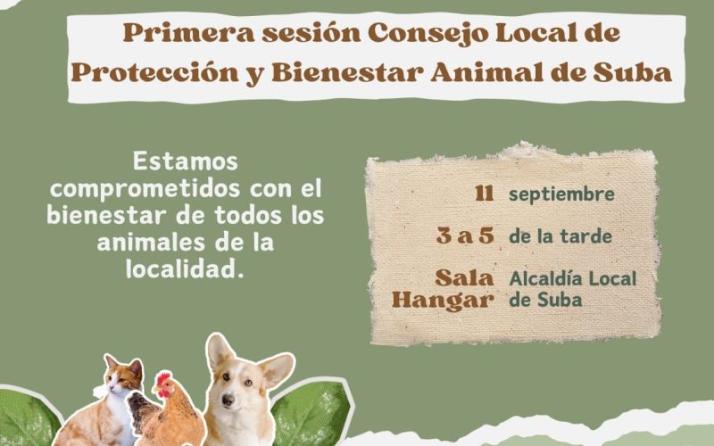 Suba inicia el Consejo Local de Protección y Bienestar Animal con una primera sesión