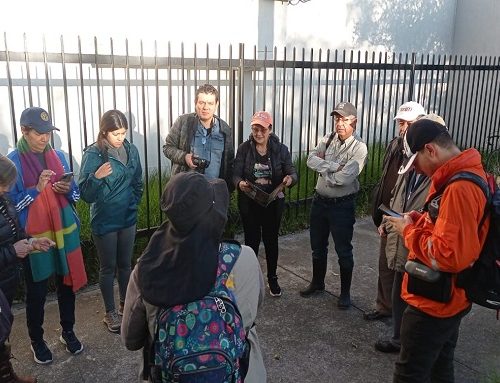 Avistamiento de Aves en el Humedal Córdoba: Una Actividad Creciente en la localidad de Suba