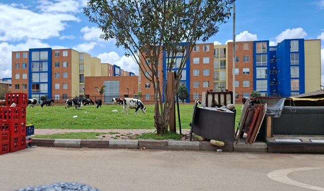 Comunidad de la Urbanización Cafam en Suba alza la voz contra la inseguridad y el deterioro ambiental