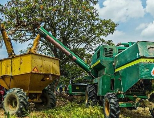 $73.000 millones para rentabilizar la agricultura campesina, familiar, étnica y comunitaria