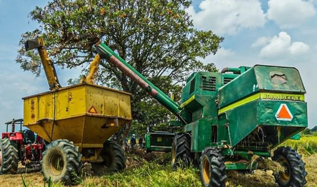 $73.000 millones para rentabilizar la agricultura campesina, familiar, étnica y comunitaria