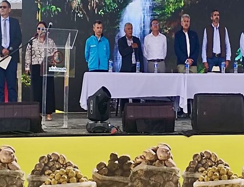 Productores de papa de Cundinamarca podrán acceder a créditos con tasa subsidiada del 4% 