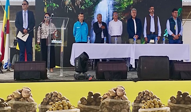 Productores de papa de Cundinamarca podrán acceder a créditos con tasa subsidiada del 4% 