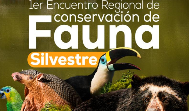 Primer Encuentro Regional de Conservación de Fauna Silvestre, se realizará en Villavicencio