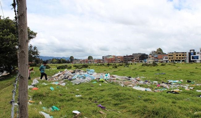 Plaga de roedores atemoriza a vecinos de Villa María, Suba