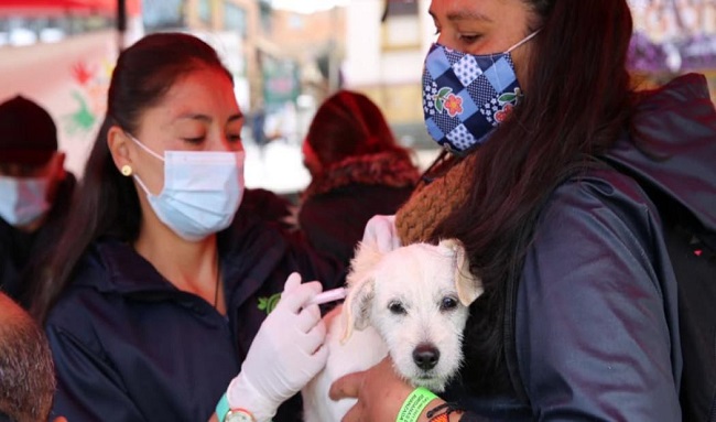 Alcaldía de Suba reafirma su compromiso con el bienestar y protección animal