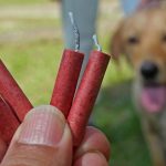 Animalistas alertan sobre el grave riesgo que corren las mascotas y fauna silvestre en Suba por el uso de pólvora