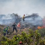 En 2024 se registraron más de 9.000 emergencias por fenómenos naturales, la mayoría incendios forestales