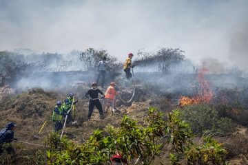 En 2024 se registraron más de 9.000 emergencias por fenómenos naturales, la mayoría incendios forestales