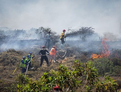 En 2024 se registraron más de 9.000 emergencias por fenómenos naturales, la mayoría incendios forestales