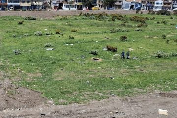 Bebé recién nacida muere tras ser abandonada en matorrales en el barrio La Gaitana, Suba