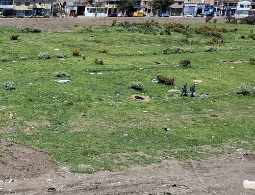 Bebé recién nacida muere tras ser abandonada en matorrales en el barrio La Gaitana, Suba