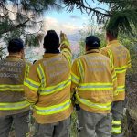 Bomberos Bogotá está en alerta y en prevención de posibles incendios forestales