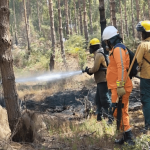 CAR y Defensa Civil se preparan para afrontar incendios forestales