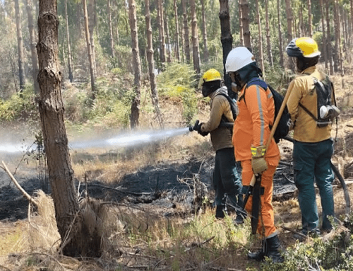 CAR y Defensa Civil se preparan para afrontar incendios forestales