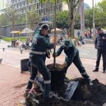 Jardín Botánico de Bogotá avanza en la plantación de nuevos árboles urbanos