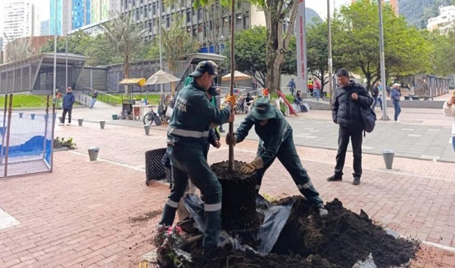 Jardín Botánico de Bogotá avanza en la plantación de nuevos árboles urbanos