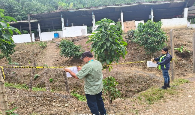 CAR suspende actividad en criadero de cerdos en Anolaima, Cundinamarca, por malas prácticas ambientales