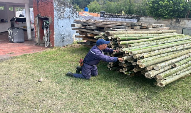 CAR y Policía incautan guadua talada ilegalmente en el municipio de El Peñón, Cundinamarca