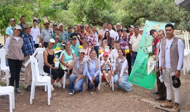 Avanzan acciones fitosanitarias y nutricionales para mitigar plagas en cítricos y mango