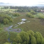 Día sin carro en Suba y Usaquén se vestirá de verde con la Carrera Ambiental 5K