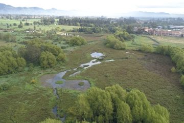 Día sin carro en Suba y Usaquén se vestirá de verde con la Carrera Ambiental 5K