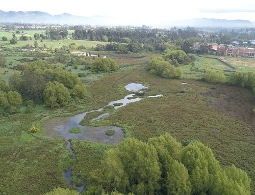 Día sin carro en Suba y Usaquén se vestirá de verde con la Carrera Ambiental 5K