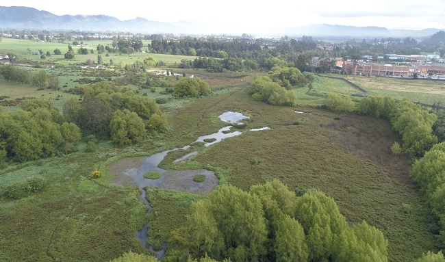 Día sin carro en Suba y Usaquén se vestirá de verde con la Carrera Ambiental 5K