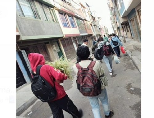 Estudiantes del Colegio Van Leeuwenhoek de la Promoción 2025 transforman parque en un jardín comunitario