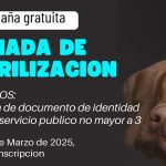 Gran Jornada de Esterilización Gratuita para tus Mascotas