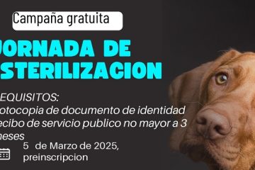 Gran Jornada de Esterilización Gratuita para tus Mascotas