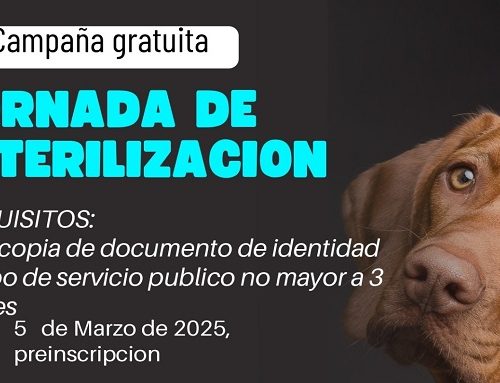 Gran Jornada de Esterilización Gratuita para tus Mascotas