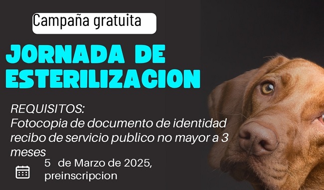 Gran Jornada de Esterilización Gratuita para tus Mascotas