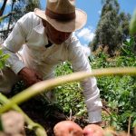 ‘Este 18 de marzo reafirmamos compromiso con trabajadores del campo y la ciudad’, afirma la ministra de Agricultura