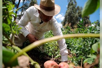 ‘Este 18 de marzo reafirmamos compromiso con trabajadores del campo y la ciudad’, afirma la ministra de Agricultura