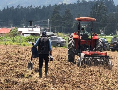 Simijaca recibe recursos clave para impulsar el sector ganadero 