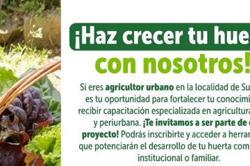 ¡Haz que tu huerta crezca en Suba! Capacitación gratuita para agricultores urbanos