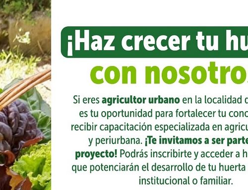 ¡Haz que tu huerta crezca en Suba! Capacitación gratuita para agricultores urbanos