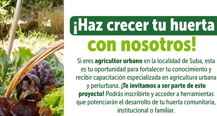 ¡Haz que tu huerta crezca en Suba! Capacitación gratuita para agricultores urbanos