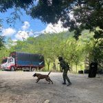 Autoridades neutralizaron amenaza explosiva en el sur del Tolima