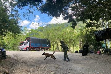 Autoridades neutralizaron amenaza explosiva en el sur del Tolima