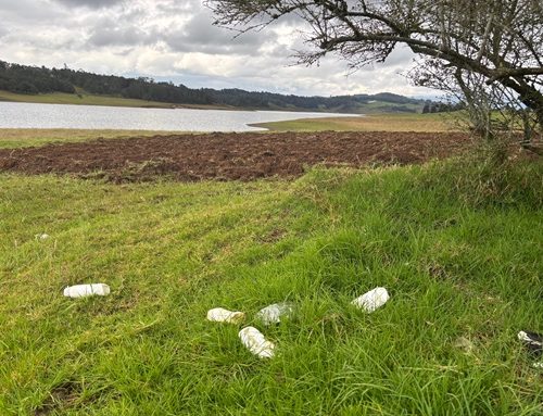 CAR suspende actividad agrícola en plena ronda hídrica del embalse El Sisga, en Cundinamarca