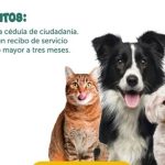Brigada veterinaria gratuita llega este domingo a Suba