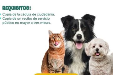 Brigada veterinaria gratuita llega este domingo a Suba
