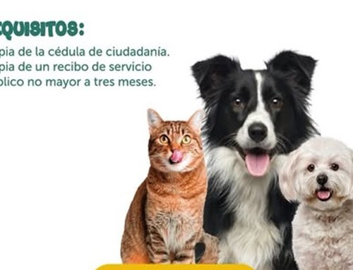 Brigada veterinaria gratuita llega este domingo a Suba