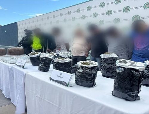 Cae banda que almacenaba dos toneladas de marihuana en una casa de Bosa